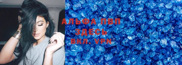 гашик Алексин