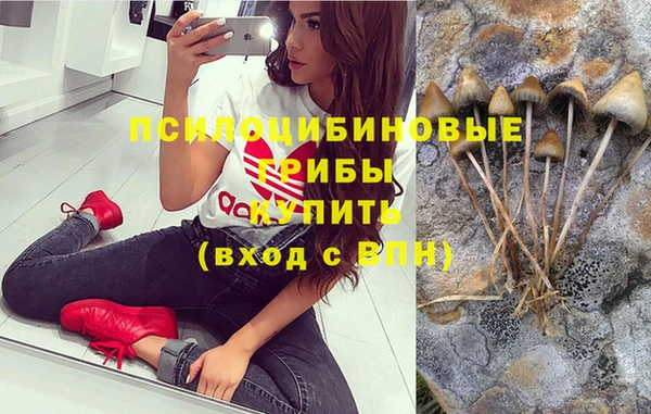 кокс Карпинск