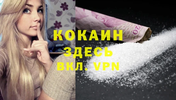 индика Алзамай