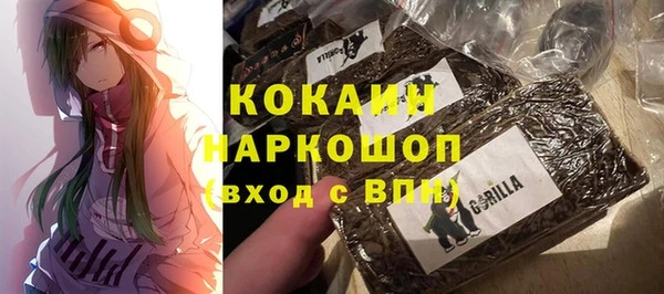 гашик Алексин