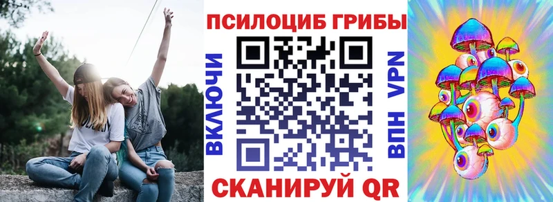 Псилоцибиновые грибы MAGIC MUSHROOMS  MEGA ссылки  Шенкурск  хочу наркоту 